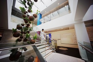 hanging garden