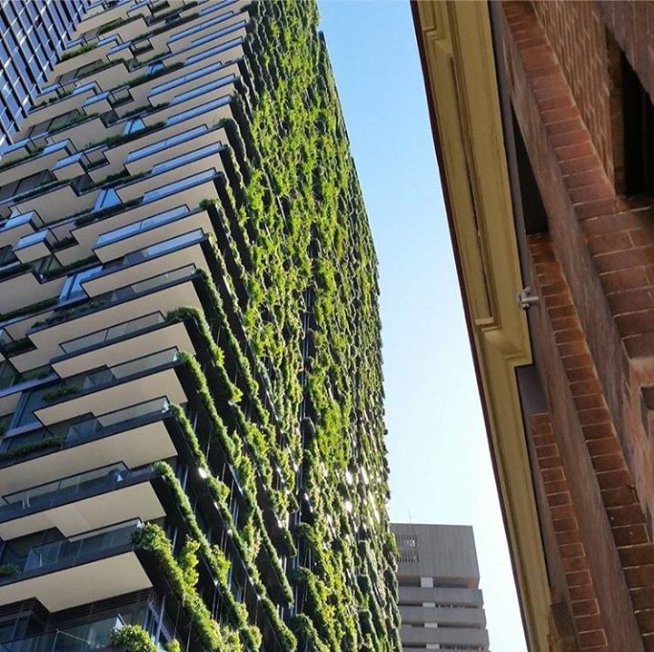 vertical-gardens-one-central-park