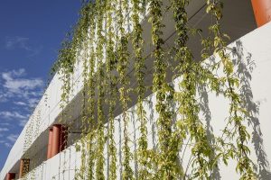 green facade structure