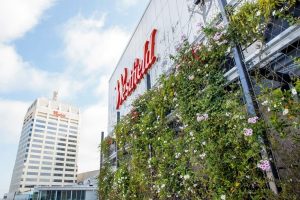 maintenance plan for a green facade