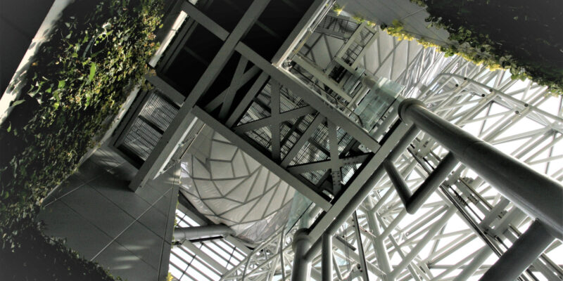 How Green Structures Can Help Us Cope with Climate Change