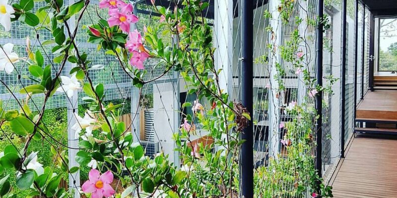 How Green Infrastructure Can Contribute to Biodiversity