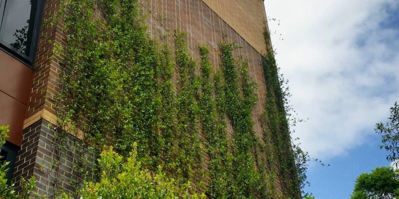 What is the Definition of a Green Facade?