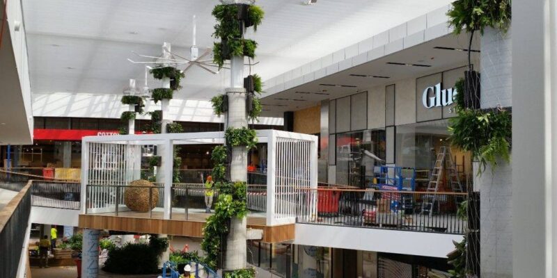 A Guide to Maintaining Green Walls