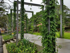 How to Design a Vertical Garden / Tensile Design & Construct