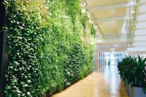 Interior Green Facades: What You Need to Know / Tensile Design & Construct