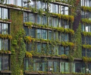 Breathing New Life into Your Building with a Living Wall / Tensile Design & Construct