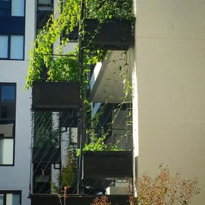 The Cost Benefit of Green Facades and Living Walls / Tensile Design & Construct