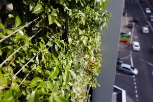 5 Ways Design and Construction Influence Green Walls / Tensile Design & Construct