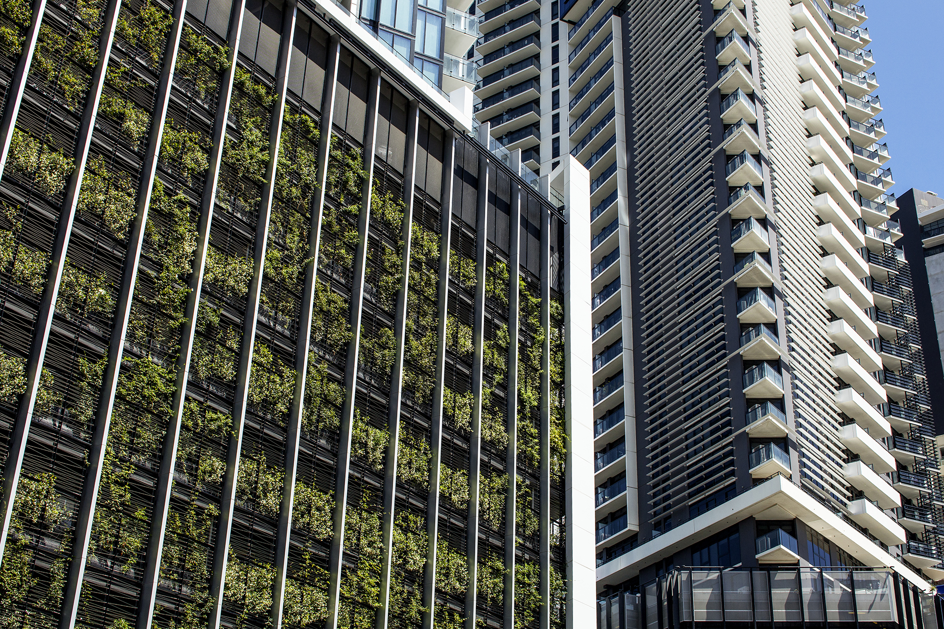 5 Ways Design and Construction Influence Green Walls / Tensile Design & Construct