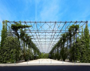 Using Vertical Garden Frames as Plant Support Structures / Tensile Design & Construct