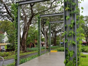 Using Vertical Garden Frames as Plant Support Structures / Tensile Design & Construct