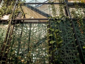 Adoption of Green Facades: Where are They Being Installed? / Tensile Design & Construct