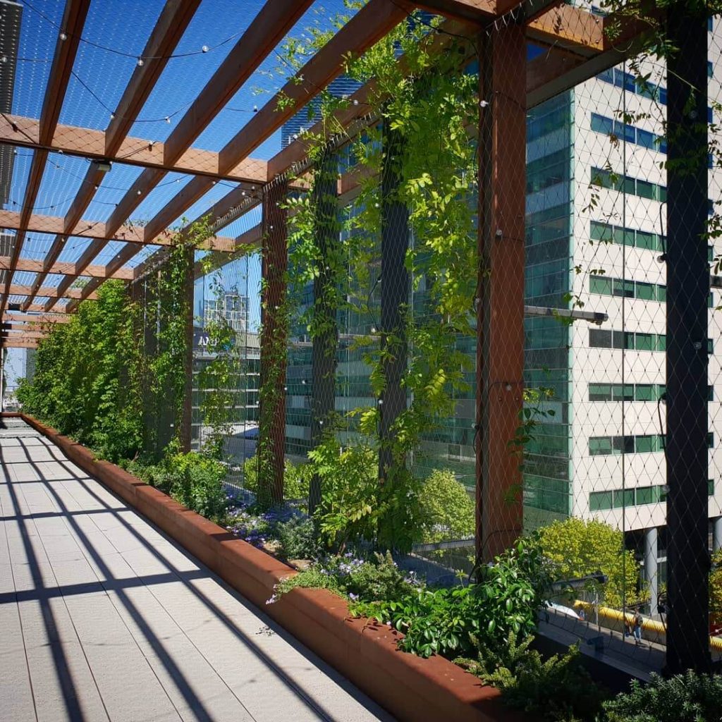 3 Key Things to Know About Green Walls and Buildings / Tensile Design & Construct Tensile