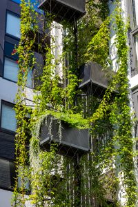 3 Misconceptions About Waterproofing for Green Facades / Tensile Design & Construct