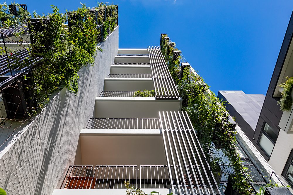 Benefits of Wire Trellis Systems for Green Facades and Walls / Tensile Design & Construct