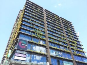 Green Facade Types: The Differences Explained / Tensile Design & Construct