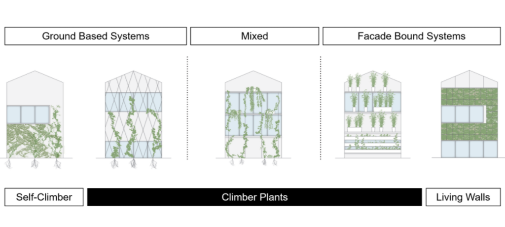 Green Facade Types: The Differences Explained / Tensile Design & Construct