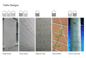 Trellis Systems for Living Walls / Tensile Design & Construct