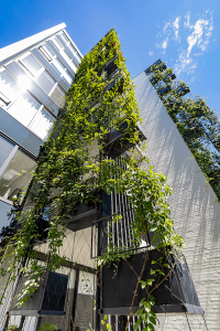 Light and Weather Considerations for Vertical Green Walls / Tensile Design & Construct