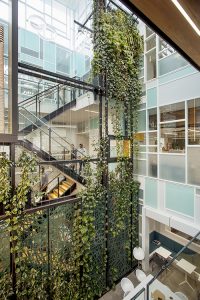 3 Ways Green Infrastructure Can Enhance a Work Environment / Tensile Design & Construct