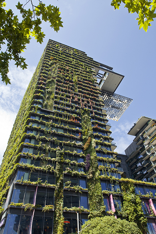 3 Popular Types of Vertical Gardening Systems / Tensile Design & Construct