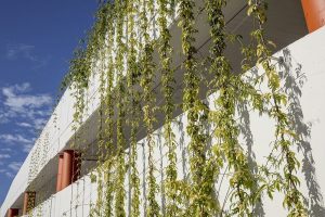 6 Timeless Green Facade Inspirations from Mother Nature / Tensile Design & Construct