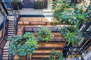 4 Benefits of a Tensile Facade or Vertical Garden / Tensile Design & Construct