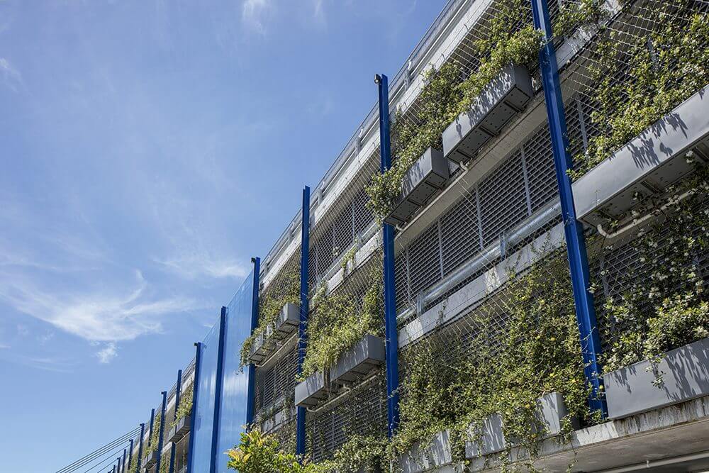 Why Green Facade Maintenance is Critical for Fire Safety / Tensile Design & Construct