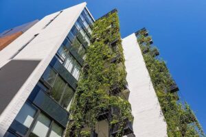 3 Ways Green Walls Can Help Beat the Summer Heat / Tensile Design & Construct