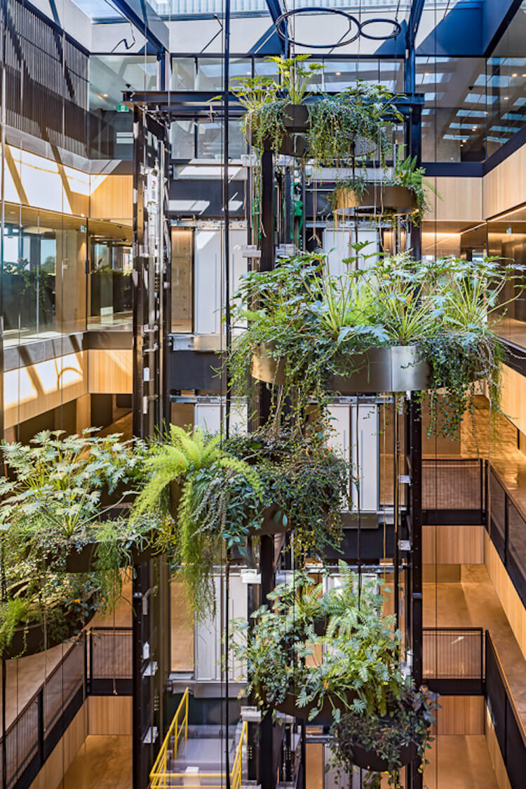 Indoor Green Walls: The Benefits of Bringing The Outside In / Tensile Design & Construct