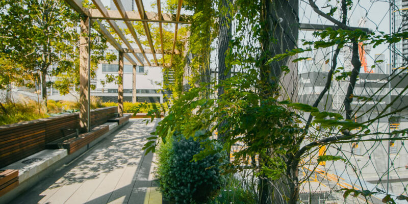 Elevated Outdoor Parks Bring Nature to the Concrete Jungle