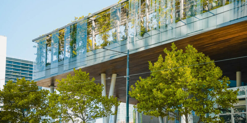 Form and Function with Tensile Fall Protection Solutions