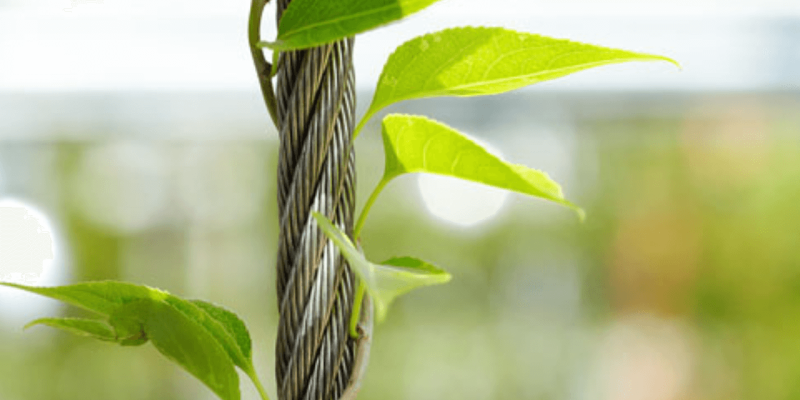 Innovative Materials for Sustainable Building Solutions