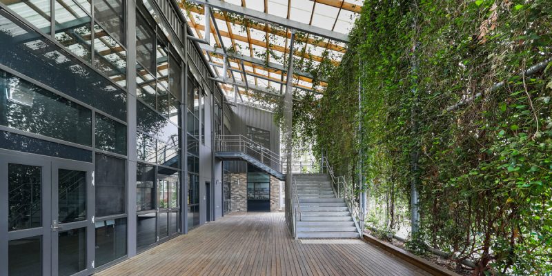 Combining Safety and Style in Tensile Solutions for Schools