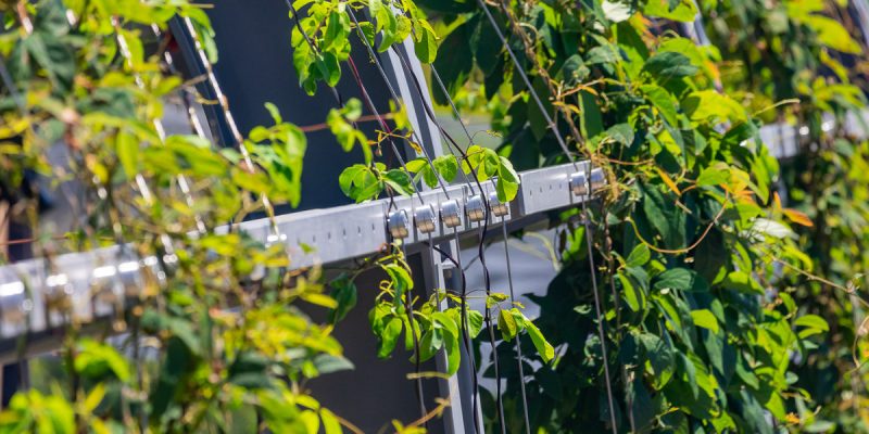 When Trees aren’t an option: Cooling cities with Lightweight structures