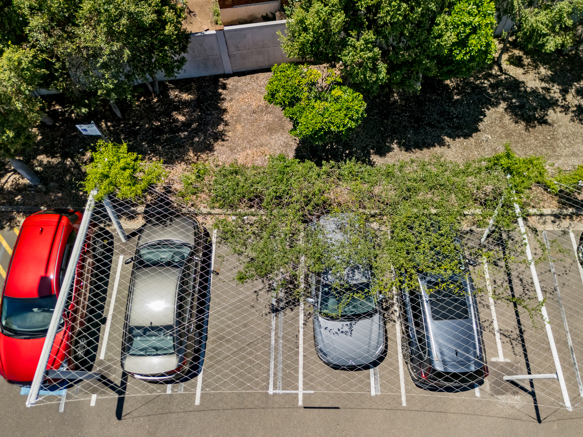 Tensile Cool Roof System Wentworthville